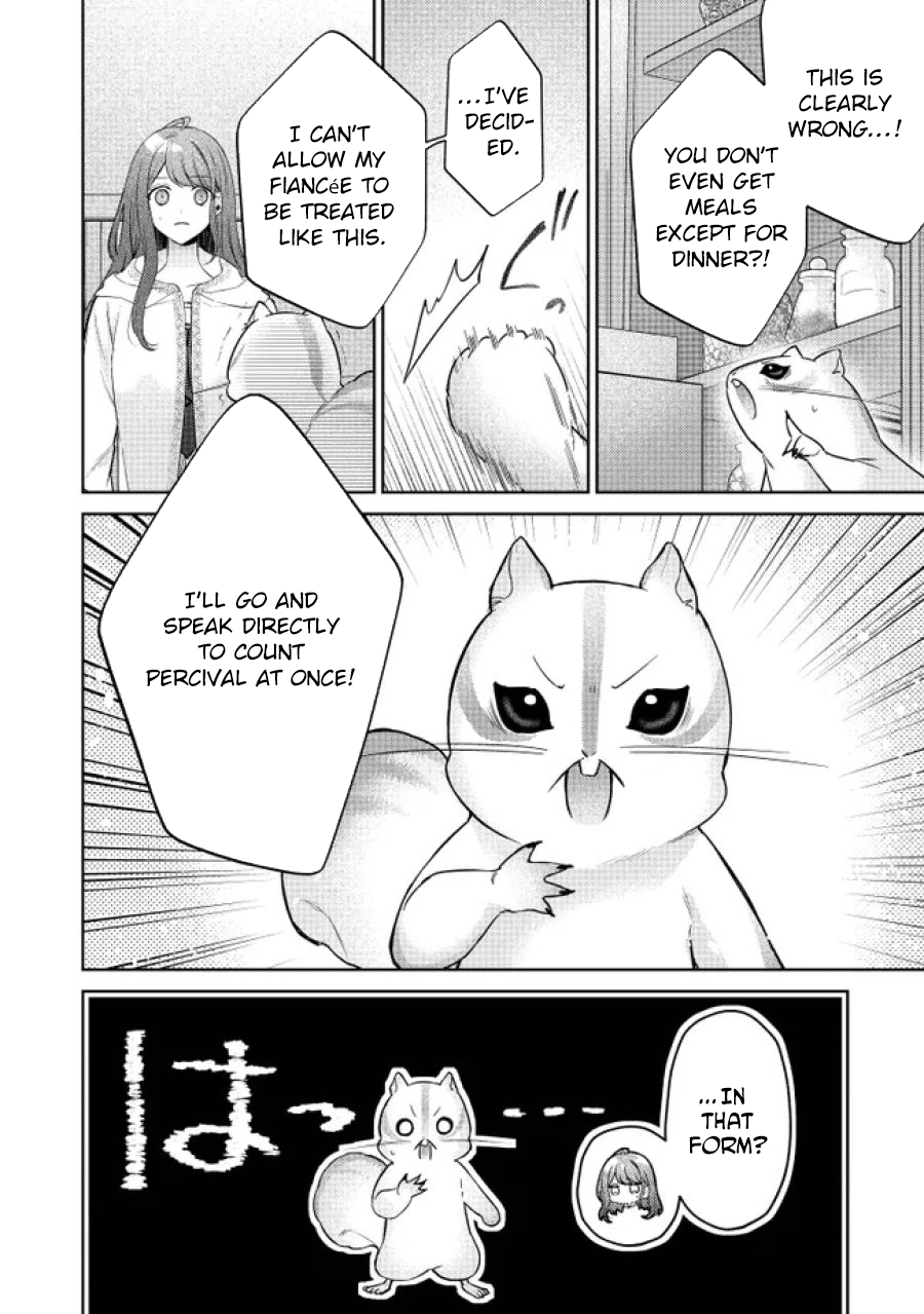 My Fiancé, Who Used to Hate Me, Turned into a Squirrel and Came to Me for Help. Chapter 2 Page 12